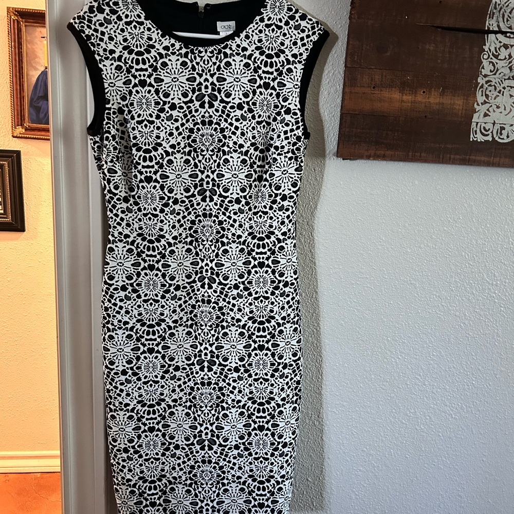 Elegant Black and White Lace Dress